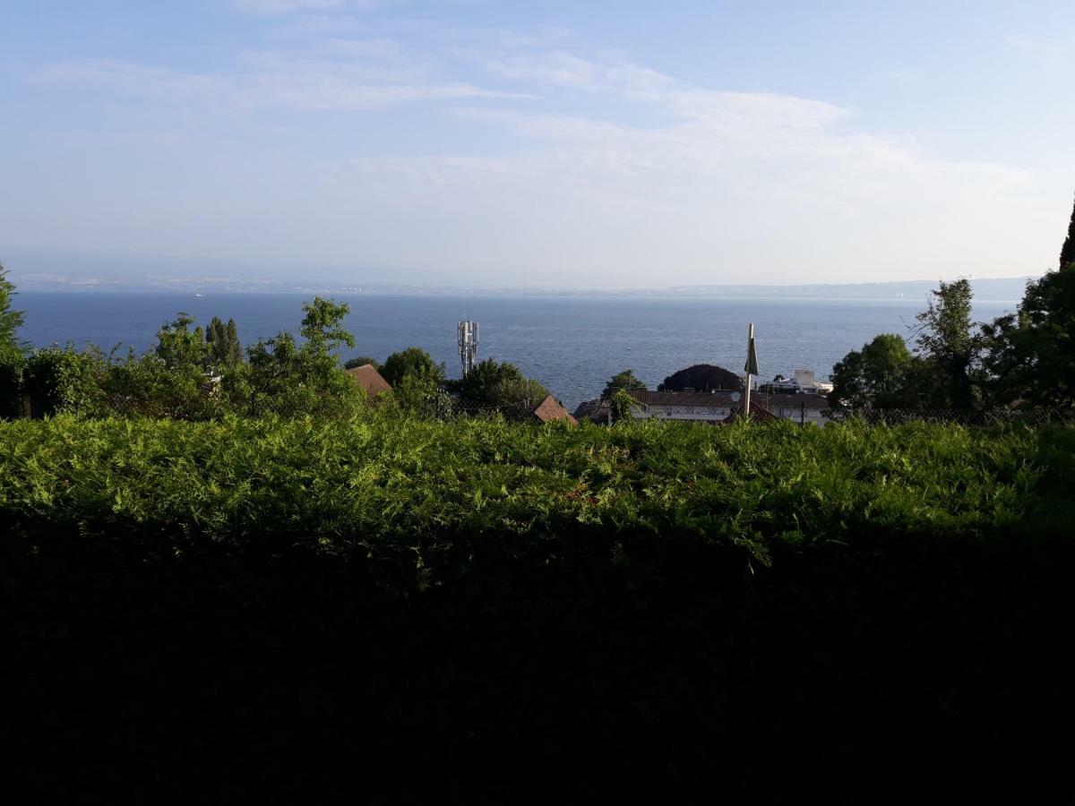 L'Oasis Hotel Evian-les-Bains Exterior photo